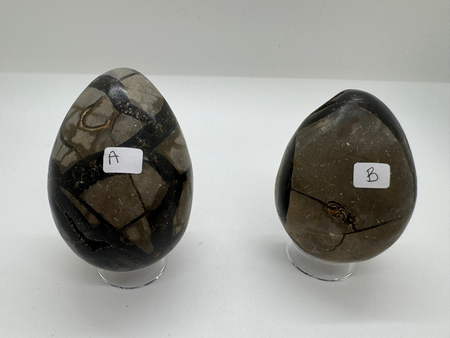 Septarian Cobra Eggs
