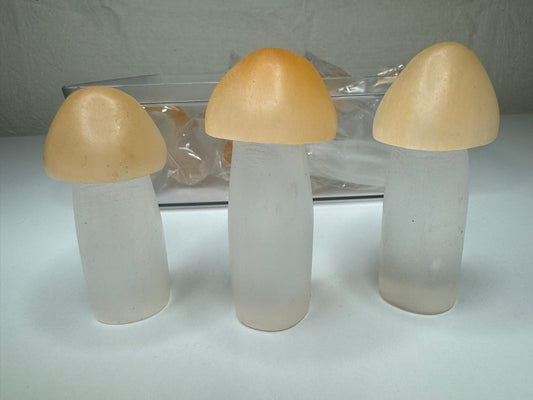 Selenite Mushroom