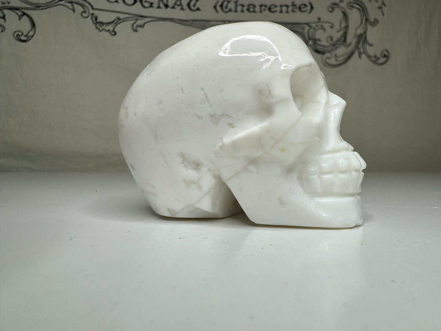 Snow Agate Skull