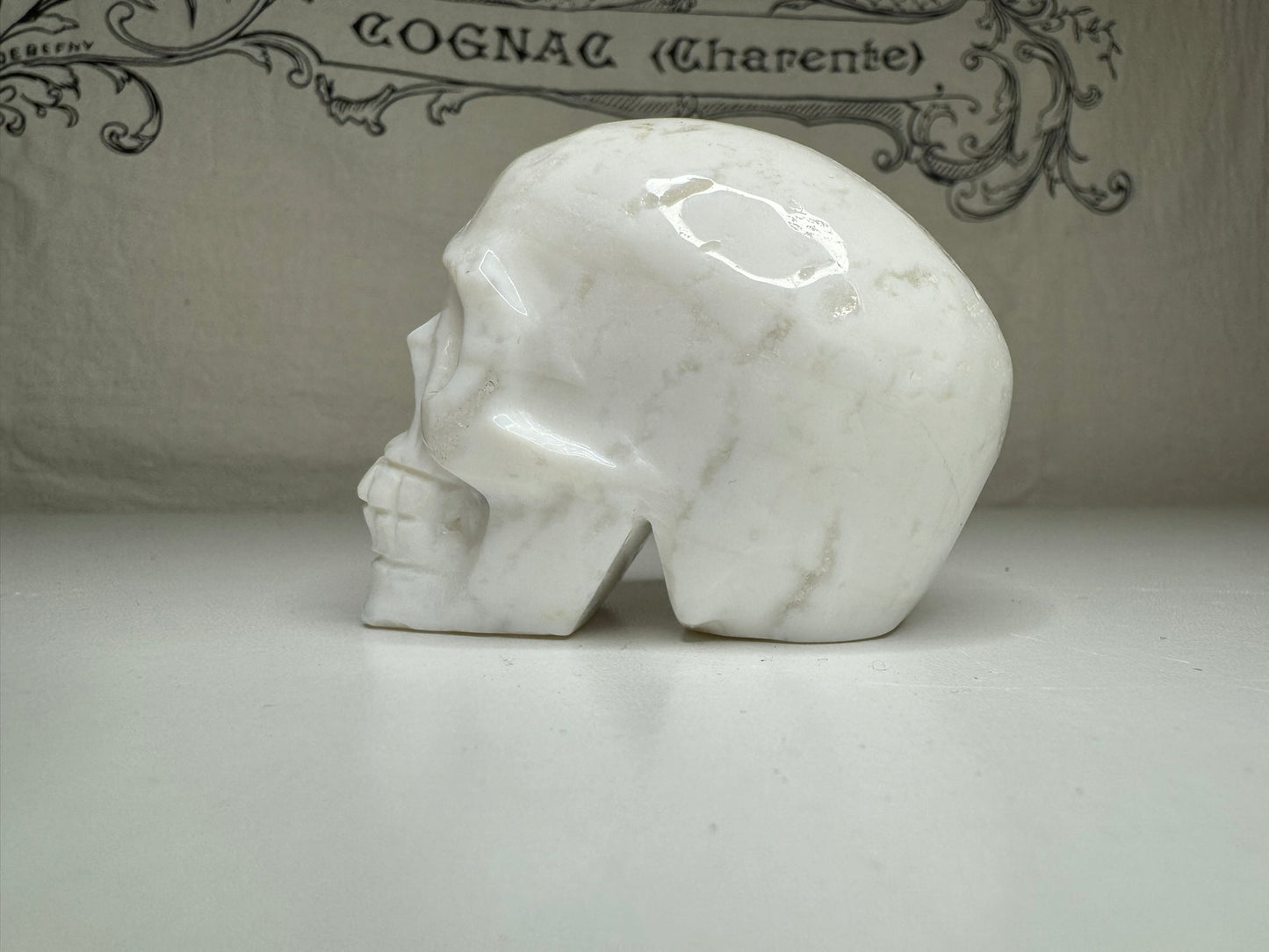 Snow Agate Skull