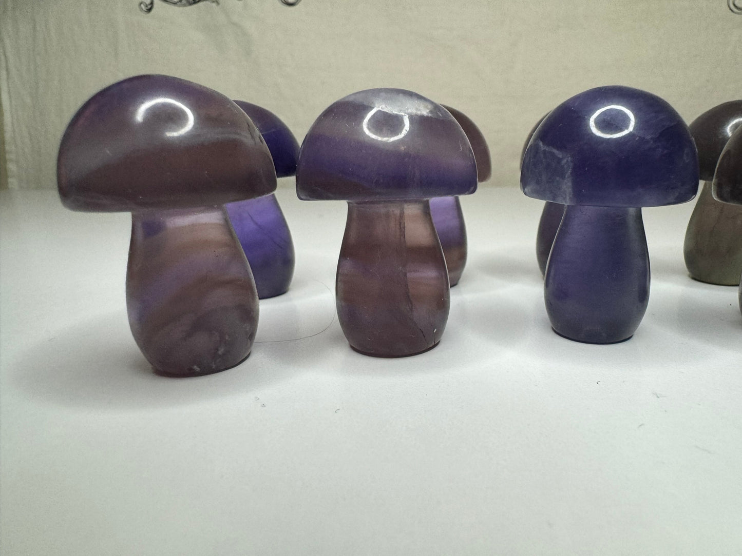 Fluorite Mushrooms