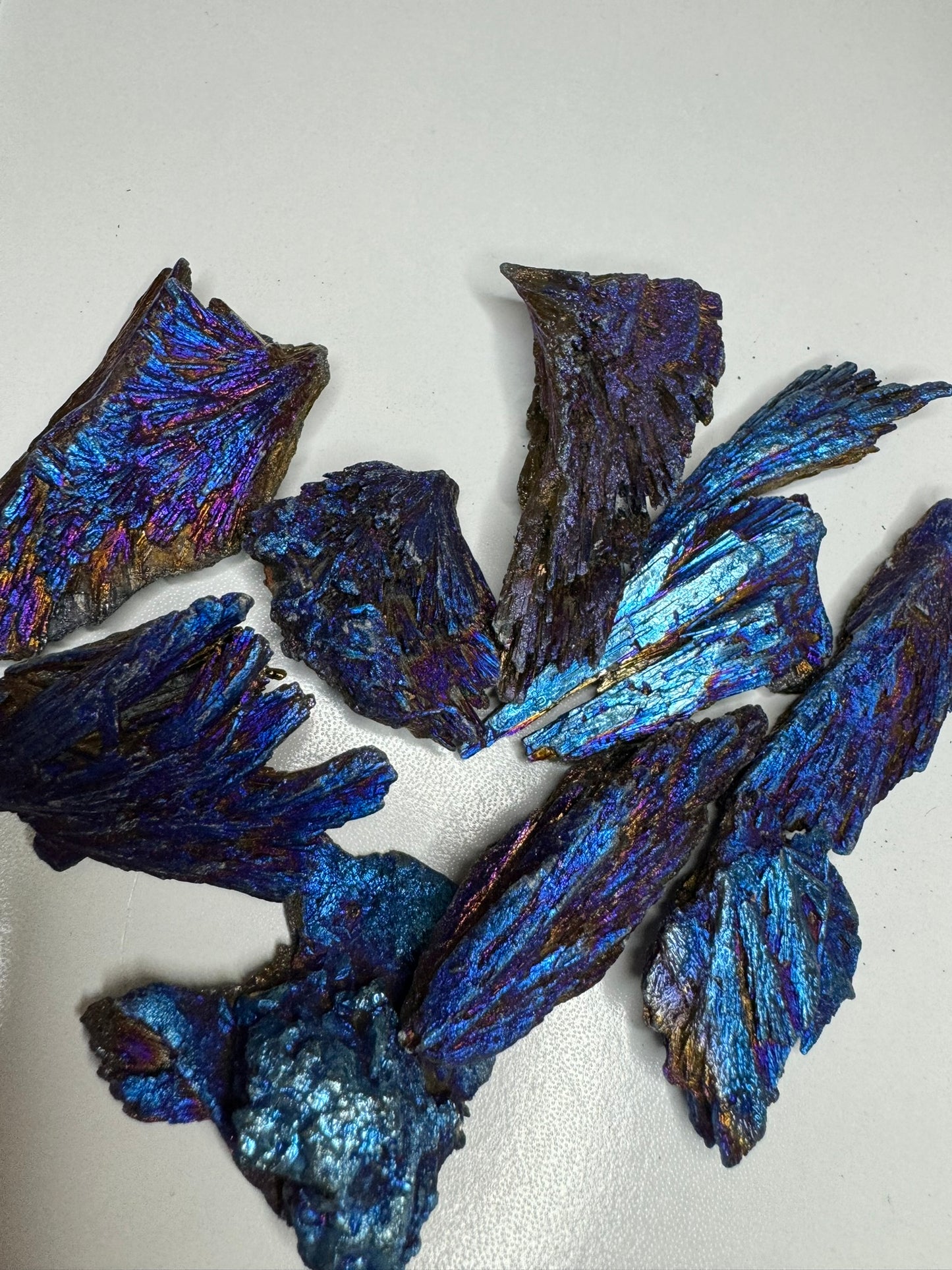 Peacock Kyanite Shards