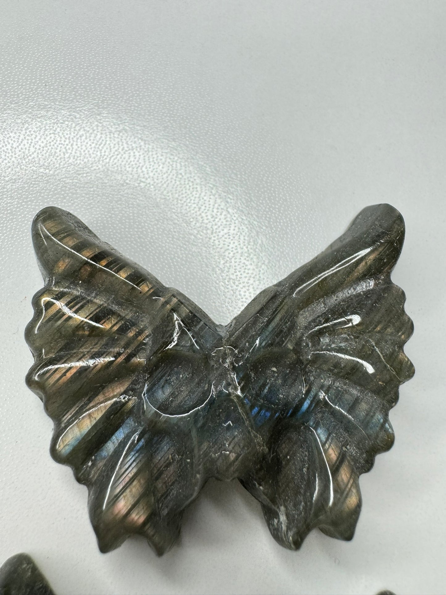 Labradorite Skull Butterfly