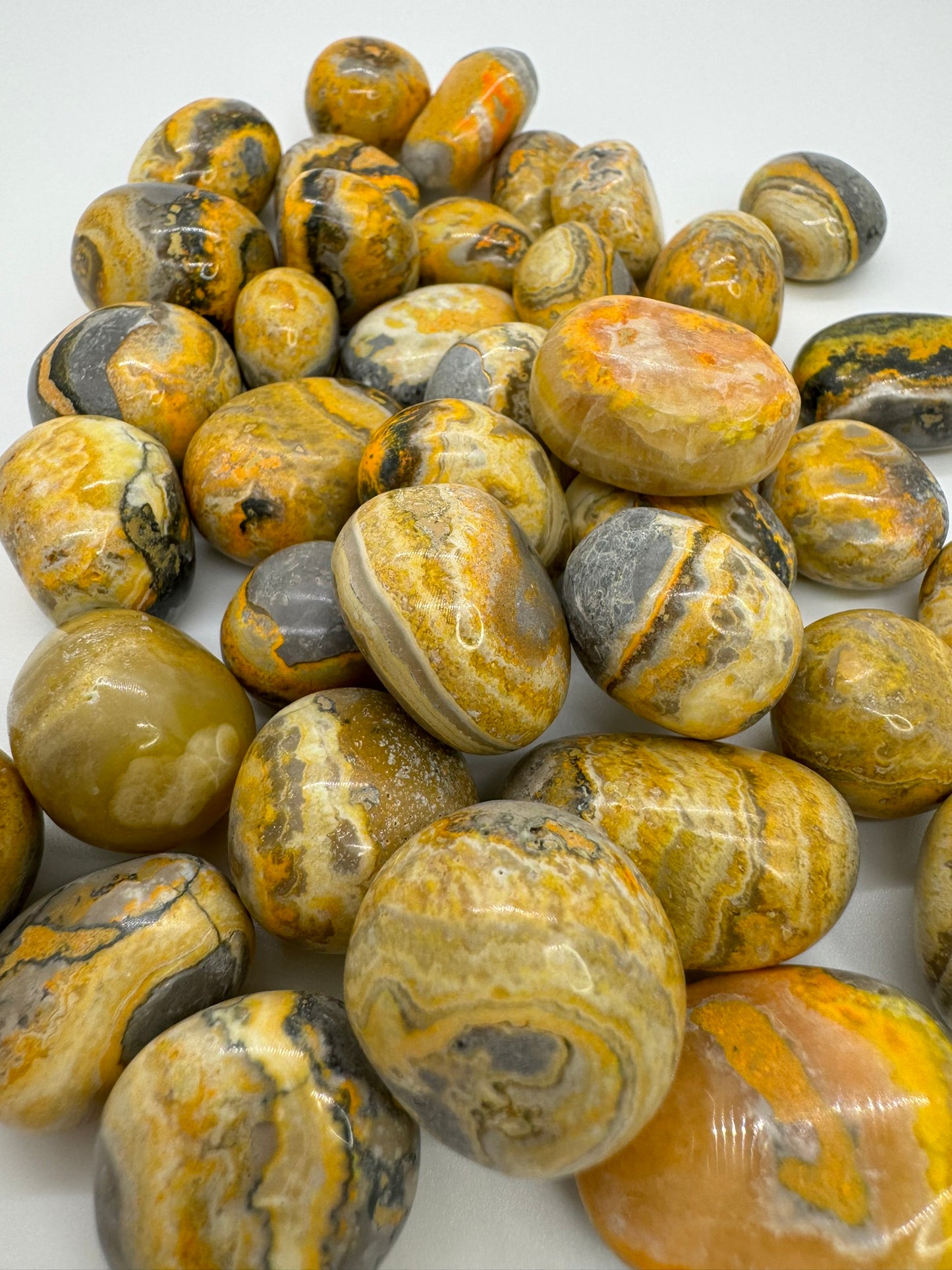 Bumblebee Jasper Tumbles