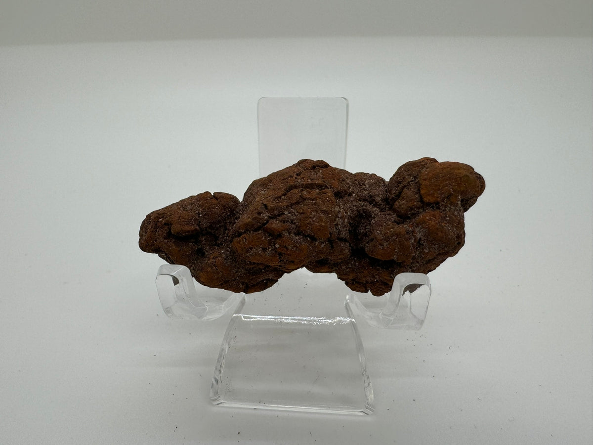 Poop Diamond Coprolite - Fossilized Dino Poop! – Rogue Crystal Company