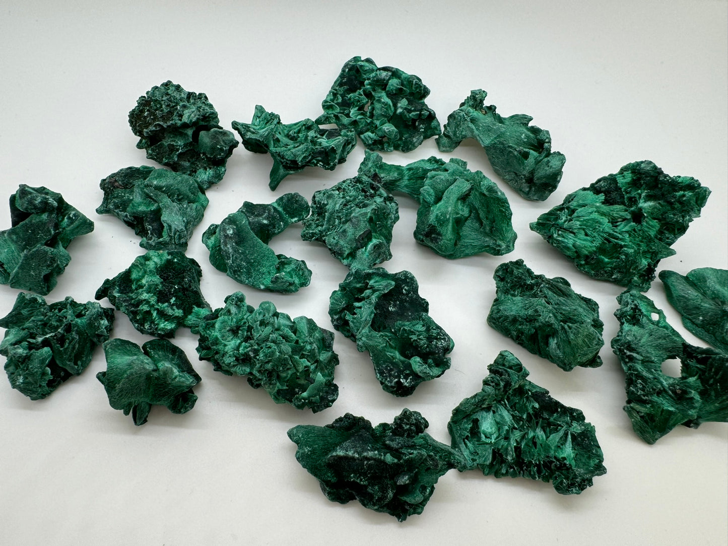 Velvet Malachite