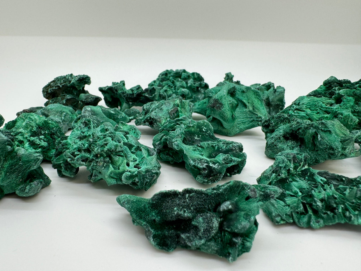 Velvet Malachite