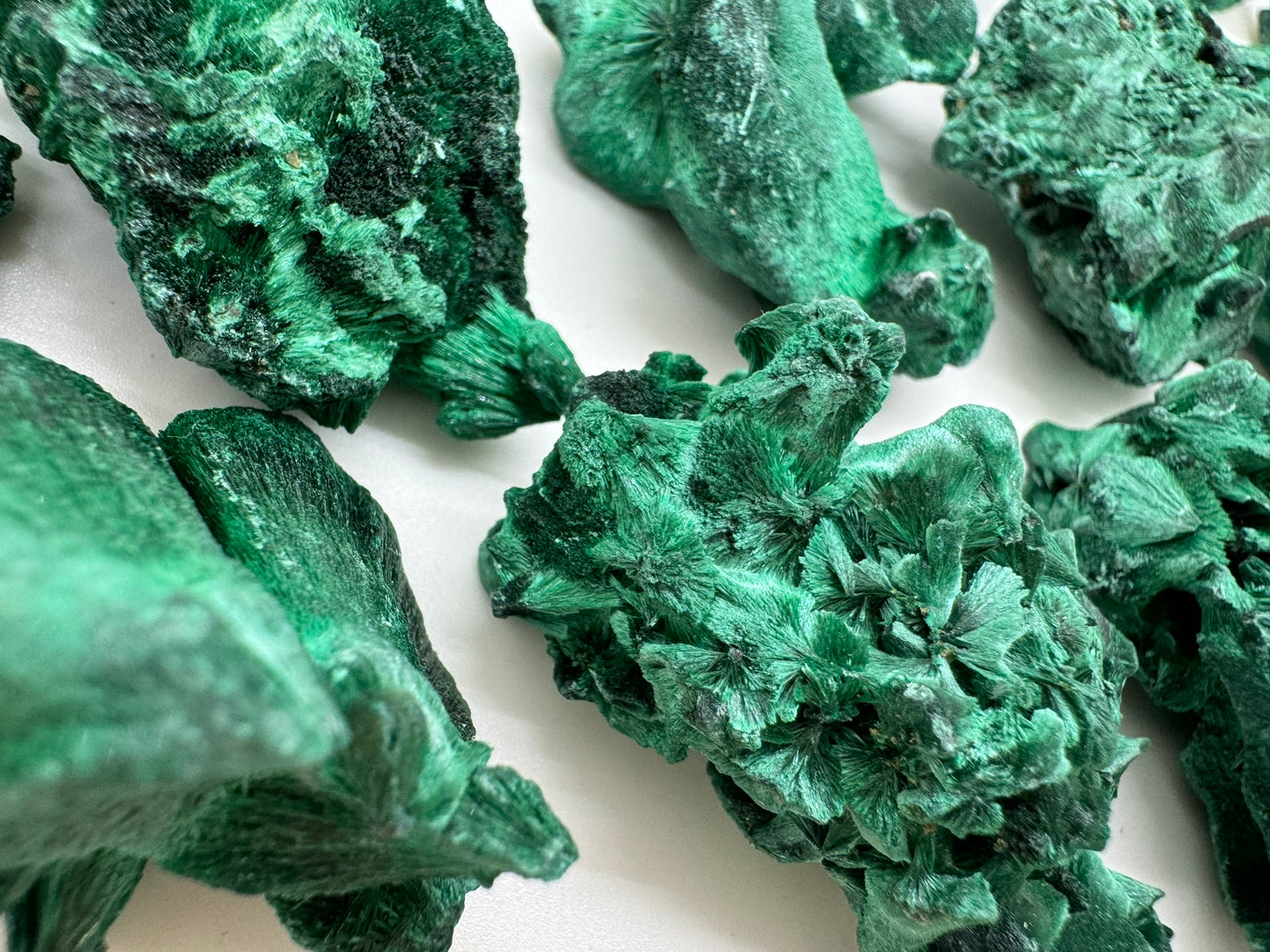 Velvet Malachite