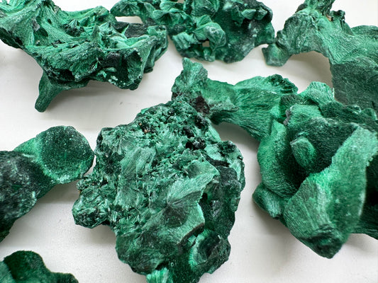 Velvet Malachite