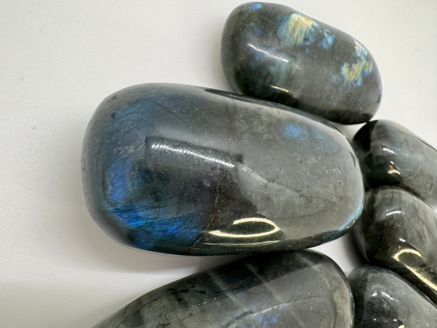 Labradorite Palms - XL