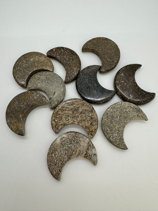 Fossilized Dinosaur Bone Moons